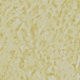 NOSG.jpg
